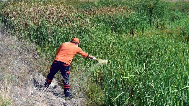 Başkent’te haşereyle etkin mücadele