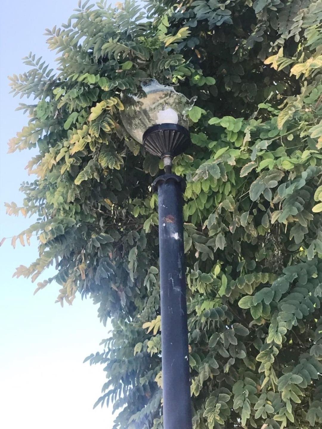 Edremit&rsquo;te şehidin adının verildiği park tahrip edildi