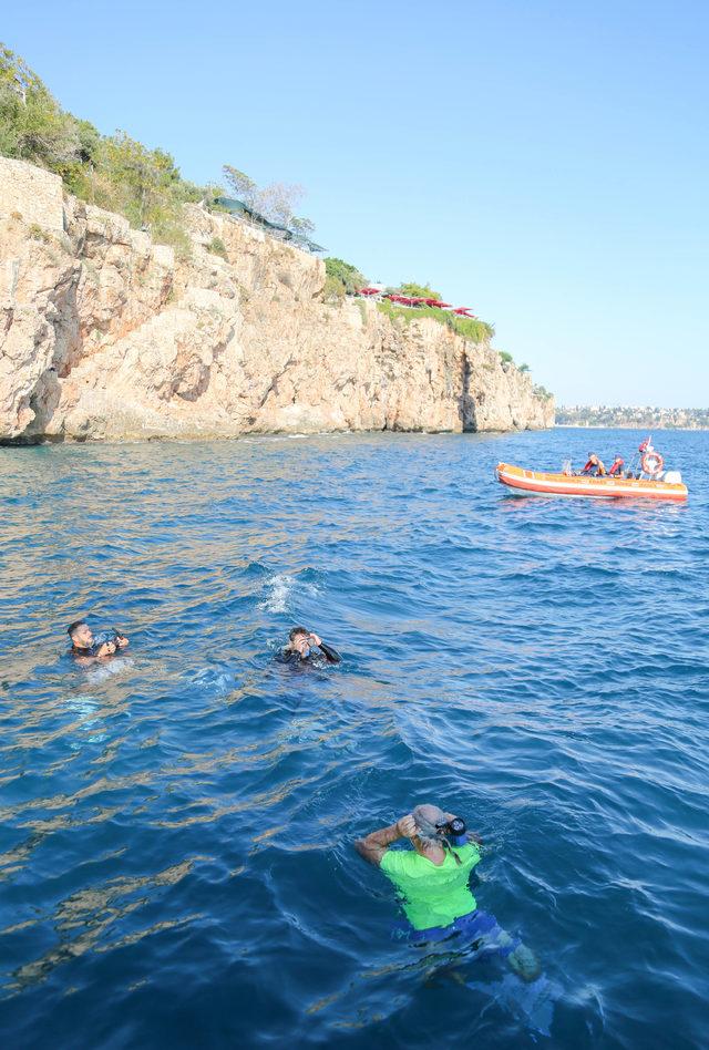 'Akdeniz fokunun yatak odasına girmeyin' çağrısı