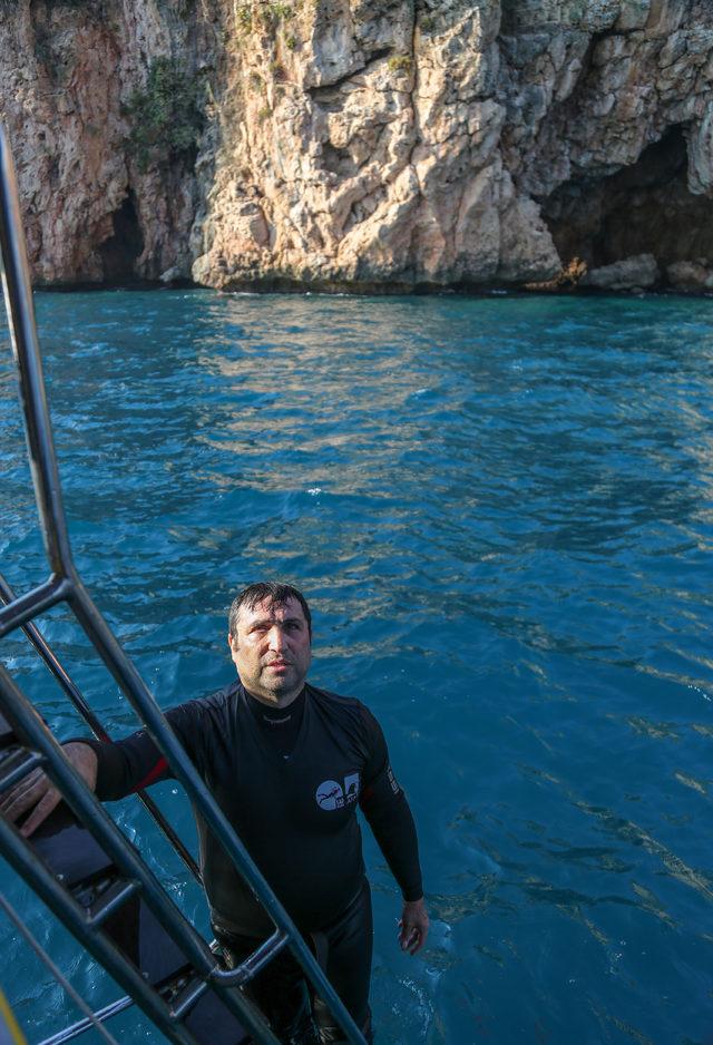 'Akdeniz fokunun yatak odasına girmeyin' çağrısı