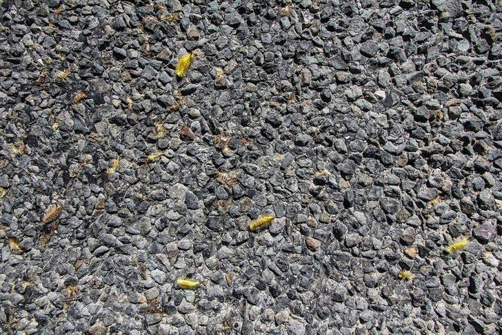 Durdurulamıyorlar! 'Derenin içinde de varlar' G2