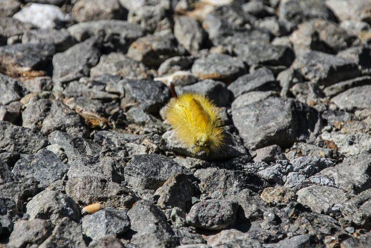 Durdurulamıyorlar! 'Derenin içinde de varlar' G3