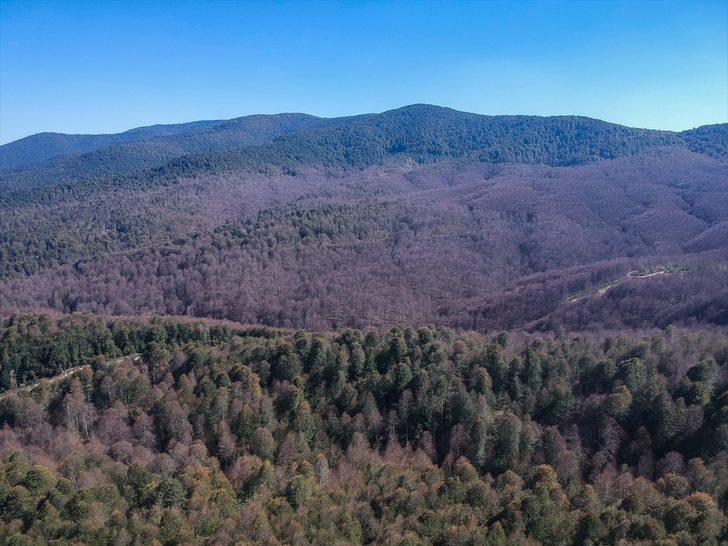 Durdurulamıyorlar! 'Derenin içinde de varlar' G5