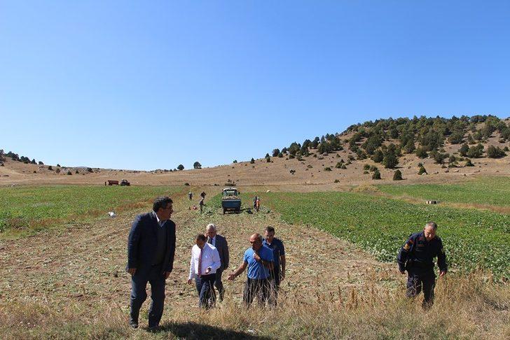 Dumlupınar’da şeker pancarı bereketi G2