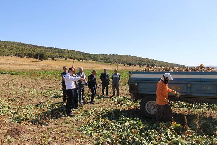 Dumlupınar’da şeker pancarı bereketi G5