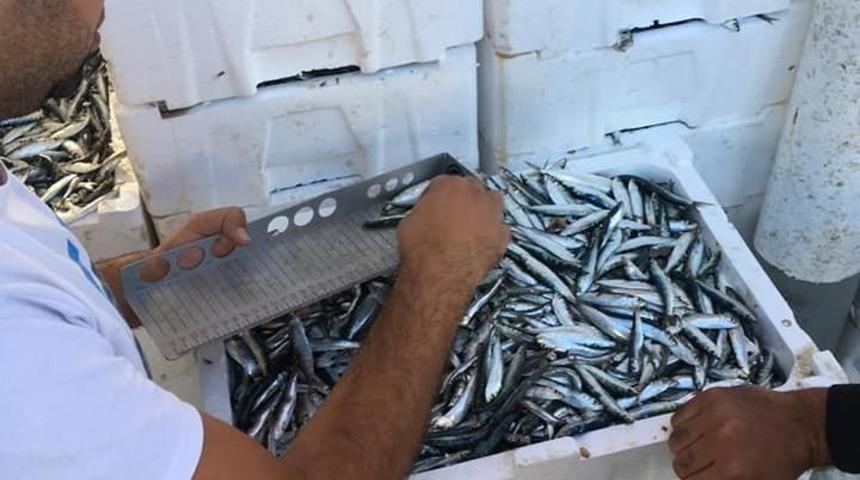 Didim&rsquo;de su &uuml;r&uuml;nleri denetimleri devam ediyor