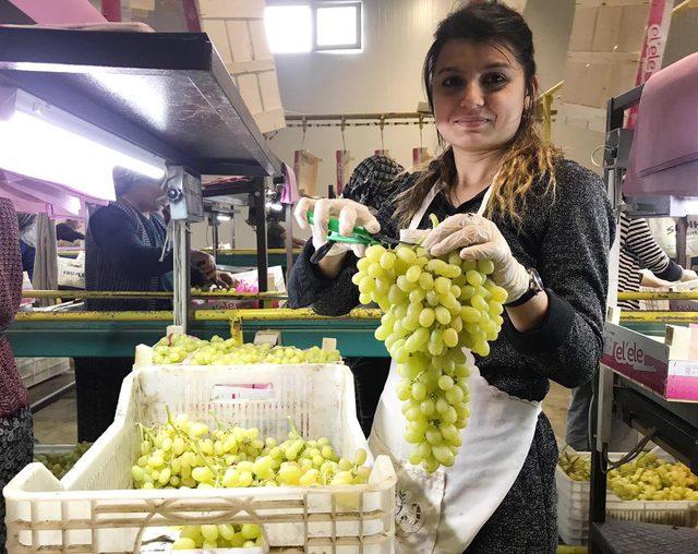 Denizlili üretici, markalarıyla Avrupa'ya yılda 10 bin ton ürün satıyor