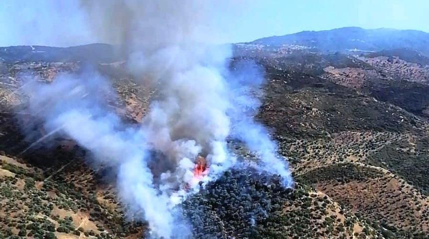 Aydın, orman yangınlarından en fazla zarar g&ouml;ren ikinci b&ouml;lgede yer alıyor