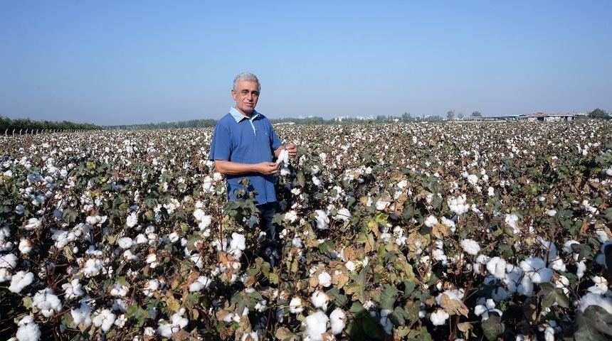 Doğan: "Pamuk &uuml;reticisi zor durumda"
