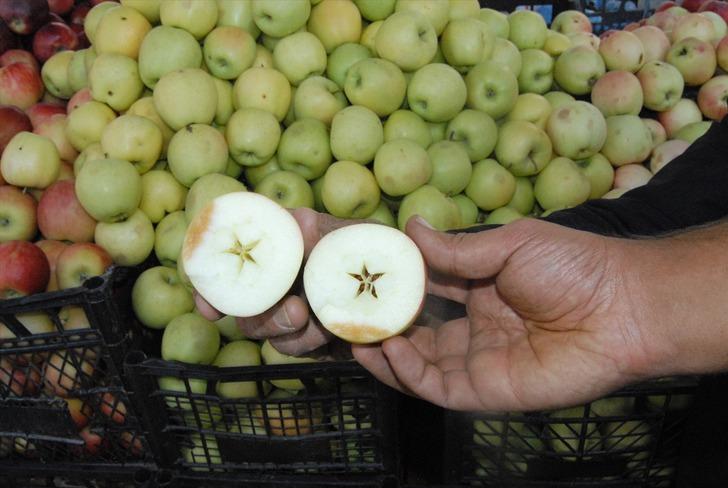 Tescilli uzun elma pazara indi! Uzun elma nerede yetişir?  G3