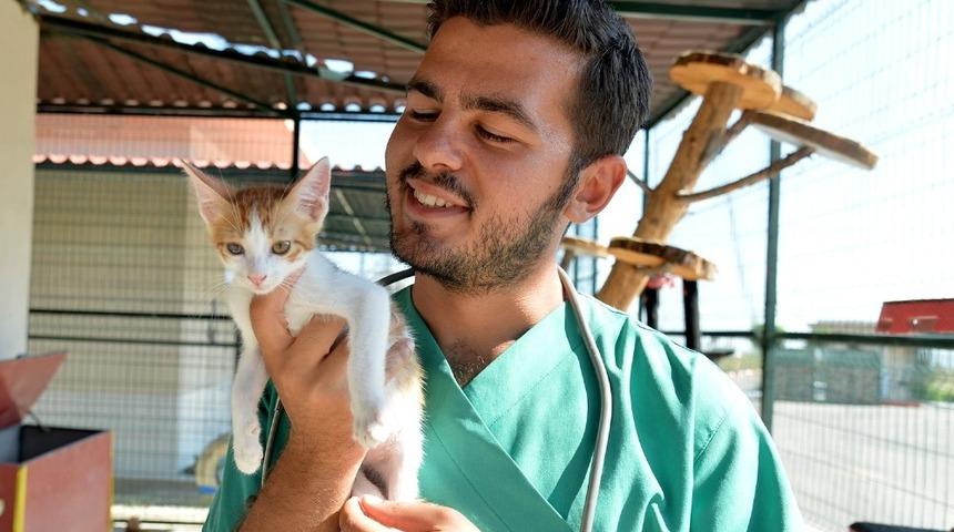 Büyükşehir veterinerlerinden hayvanseverlere uyarı