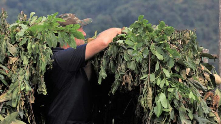 Doğu Karadeniz'de atmaca avcılığı geleneği G1