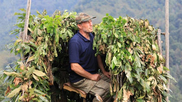 Doğu Karadeniz'de atmaca avcılığı geleneği G2