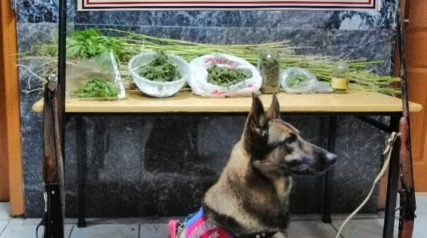 Bolu&rsquo;da uyuşturucu operasyonu: 2 tutuklama