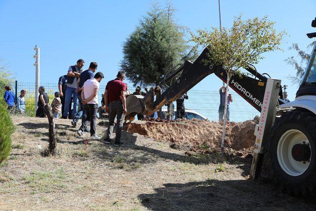 13 yıldır kayıp dedesinin, gözleri önünde öldürüldüğünü söyledi, polis kazı başlattı