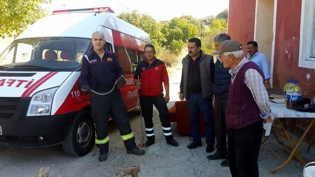 İtfaiye ekiplerinin evde yakaladığı yılan doğaya salındı