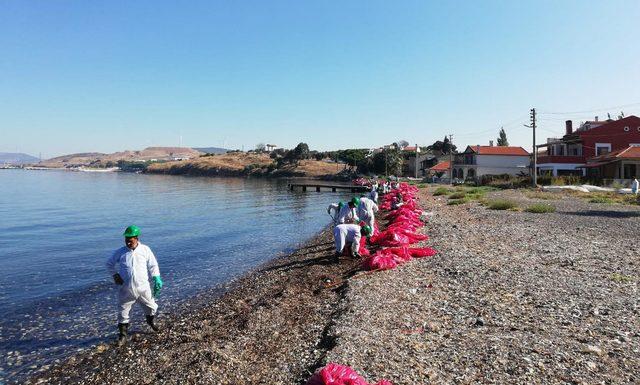 Foça'da, denizde kirliliğe neden olan firmaya 144 bin lira ceza