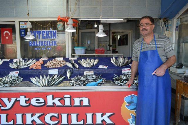 Tekirdağ’da hamsinin kilosu 25 TL