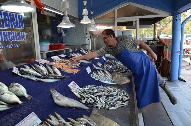 Tekirdağ’da hamsinin kilosu 25 TL