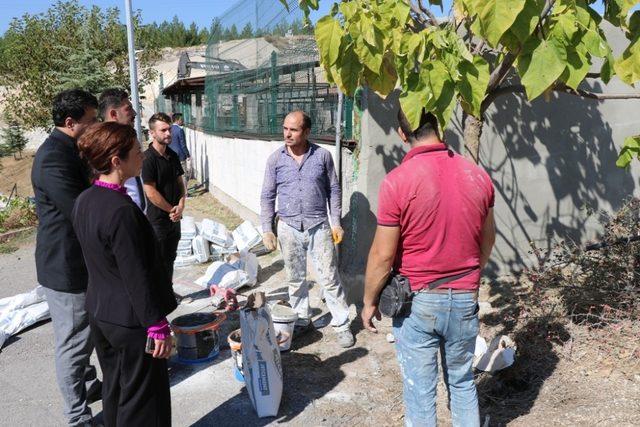 Safranbolu’da hayvan barınağında tadilat