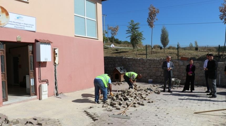 Safranbolu’da hayvan barınağında tadilat