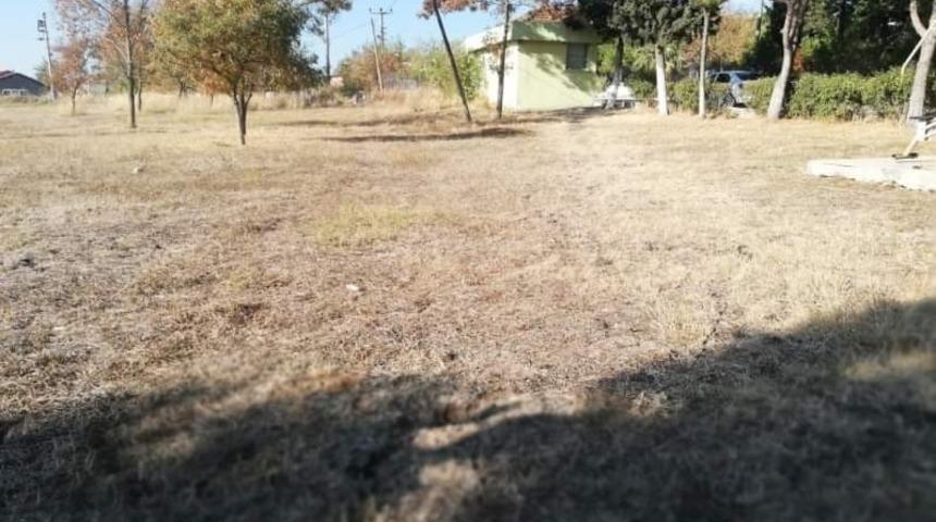 Okulda yerli tohum &uuml;retiyorlar