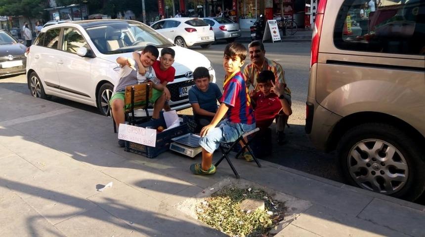 Öğrenciler girişimcilik dersinde domates sattı