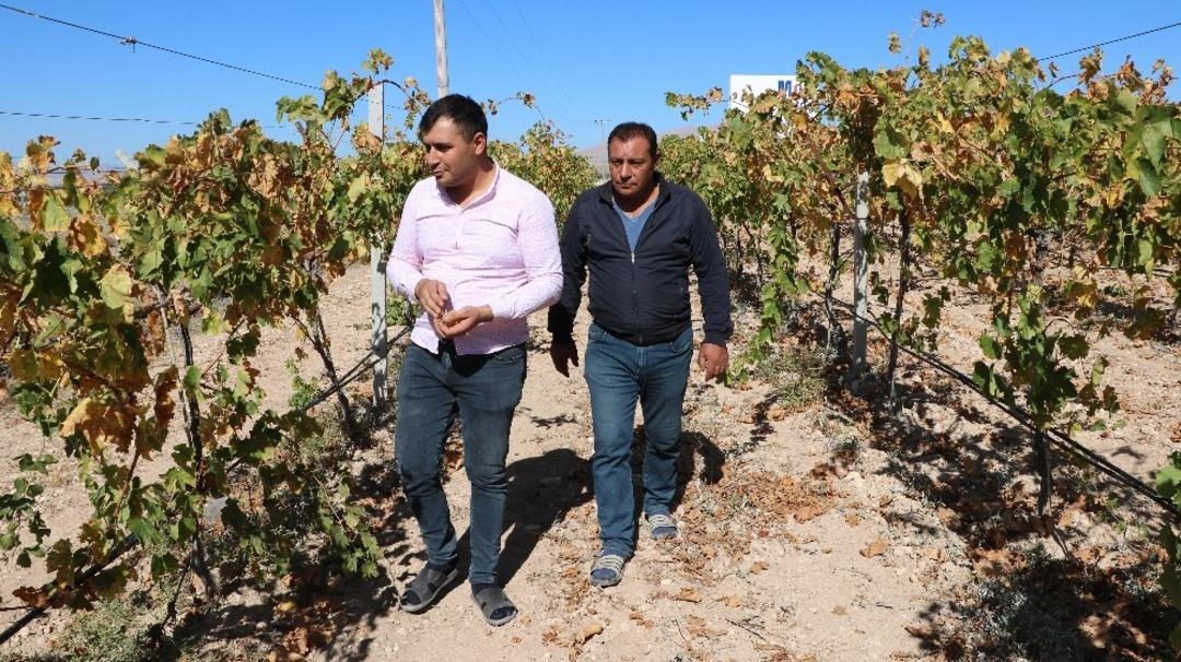 Niğde&rsquo;de pekmez ve k&ouml;fter zamanı