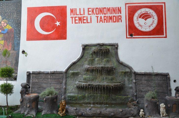 Kamu binası botanik bahçeye çevrildi G1