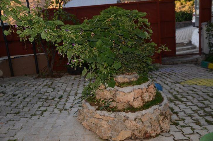 Kamu binası botanik bahçeye çevrildi G4