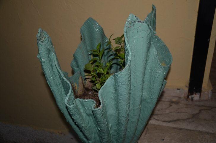 Kamu binası botanik bahçeye çevrildi G5