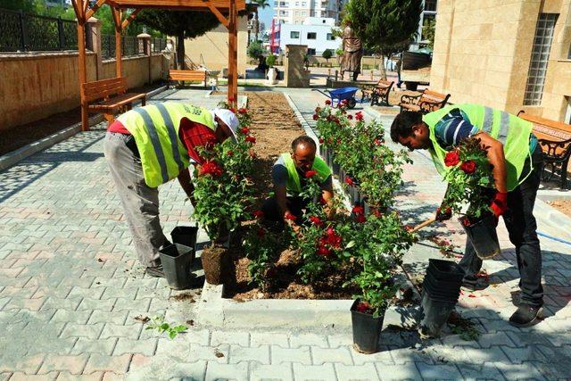 Büyükşehir Belediyesi’nden Cemevi bahçesine peyzaj düzenlemesi