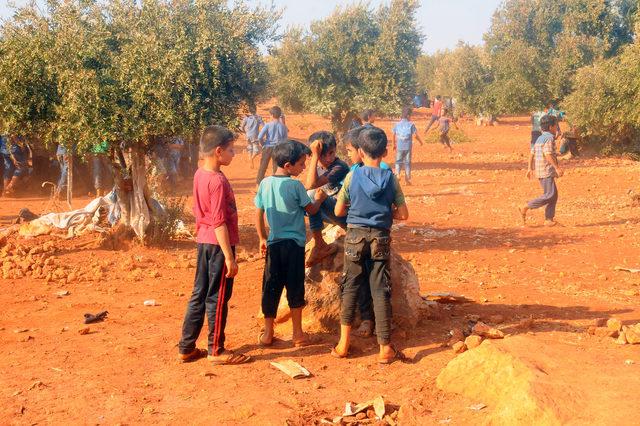 Zeytin ağaçları arasında ders gören Suriyeliler okul istiyor