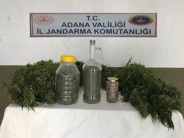Adana’da uyuşturucu operasyonu: 1 tutuklama