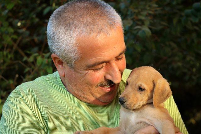 Emekli çift tüm birikimlerini sokak köpekleri için harcıyor