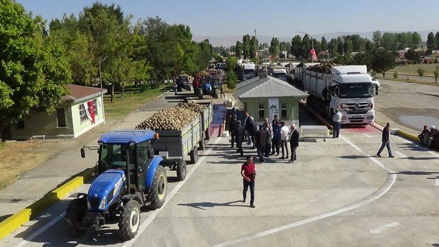 Muş’ta pancar alım kampanyası başladı