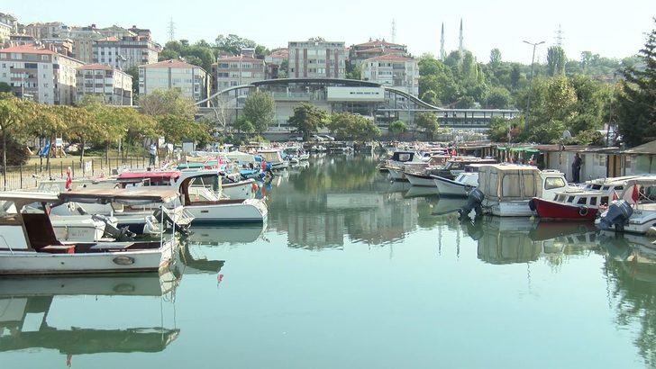 Küçükçekmece Gölü'nde su samuru görenlerin sayısı artıyor G1