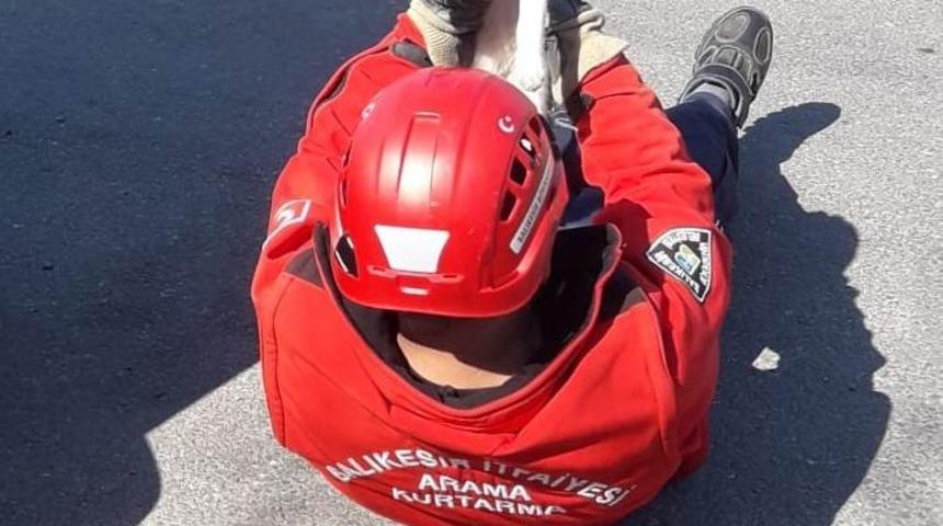 Burhaniye&rsquo;de itfaiyeden kedi kurtarma operasyonu