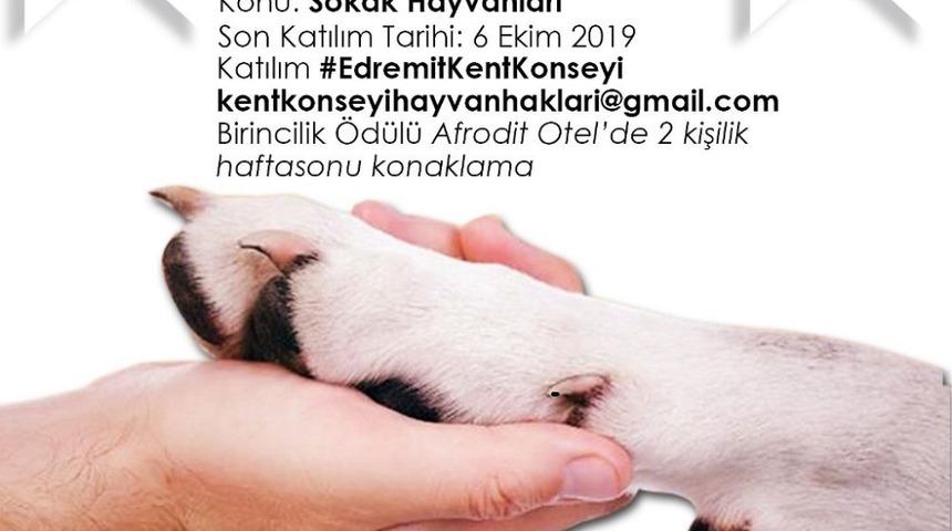 Hayvanları Koruma g&uuml;n&uuml; Edremit&rsquo;te ilk kez kutlanacak