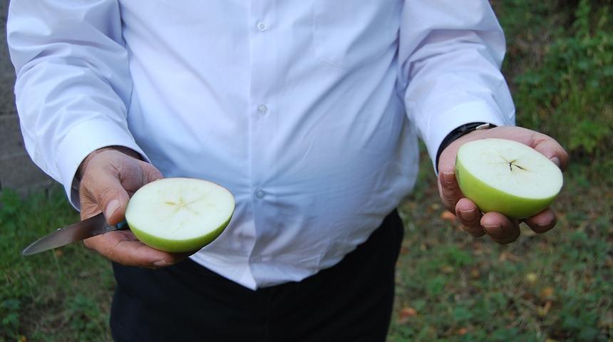 Yeni keşfedilen elma Ertuğrul Gazi ismiyle tescil edilecek