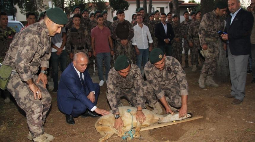Ge&ccedil;ici g&ouml;revle Hakkari&rsquo;ye giden Polisler i&ccedil;in kurban kesildi