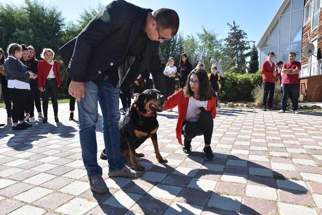 Öldü sandığı köpeğine okul gezisinde kavuştu