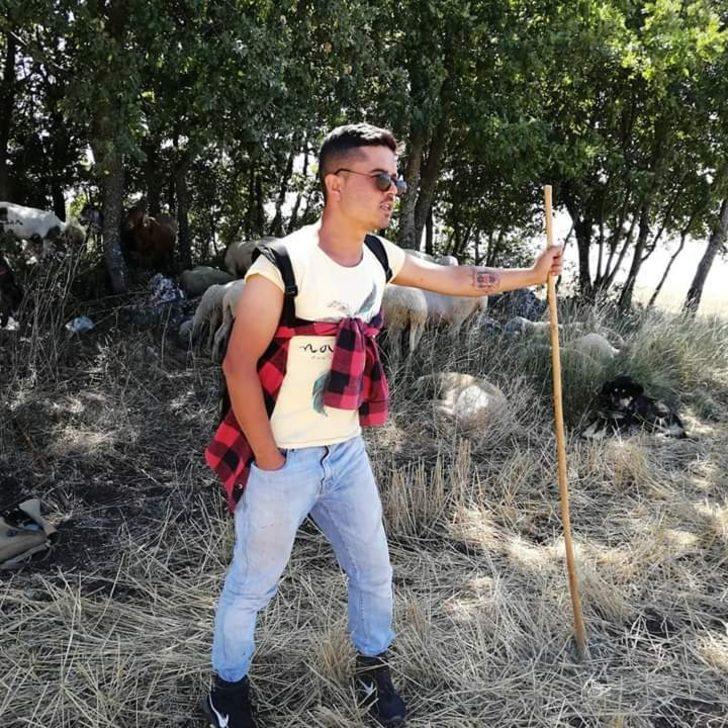 Dünyanın en tehlikeli örümceklerinden! Türkiye'de görüldü G3