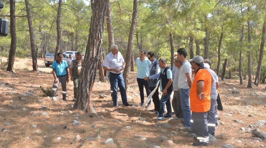 Mersin Orman Bölge Müdürlüğü, Silifke 8 ton reçine üretimi gerçekleştirdi