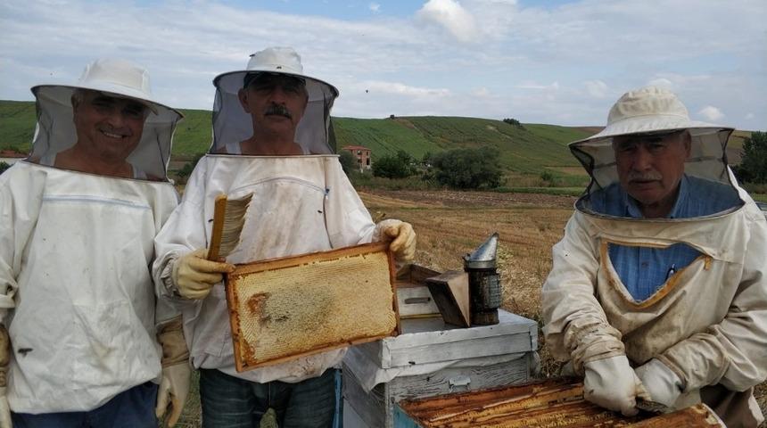 L&uuml;leburgaz&rsquo;da bal bereketi