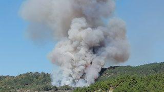 GÜNCELLEME - Bilecik'te makilik alanda yangın
