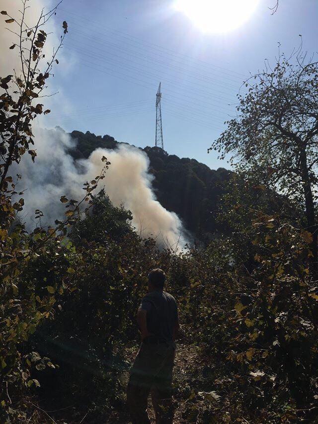 Beykoz Anadolu Kavağı’nda ormanlık alanda yangın