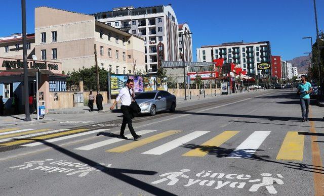 Van’da ‘Yaya Geçitlerinin Nöbetçileriyiz’ uygulaması