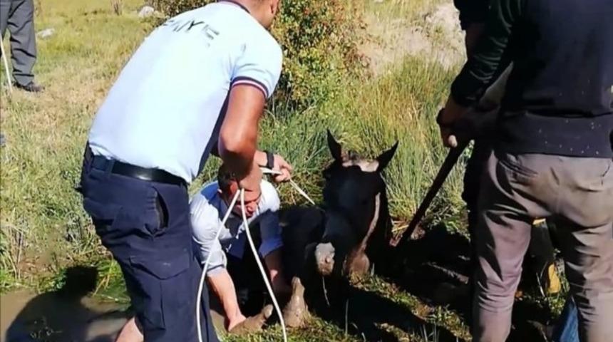 Bataklığa saplanan sahipsiz atı itfaiye kurtardı