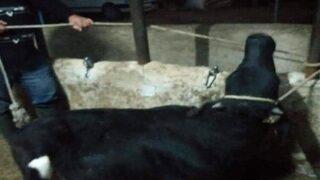 Karantinaya alındı! Giriş çıkışlar yasaklandı